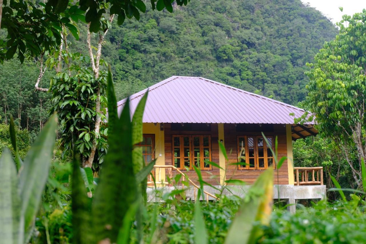 Monkey Mansion - Jungalows & Tours Khao Sok National Park Exterior foto