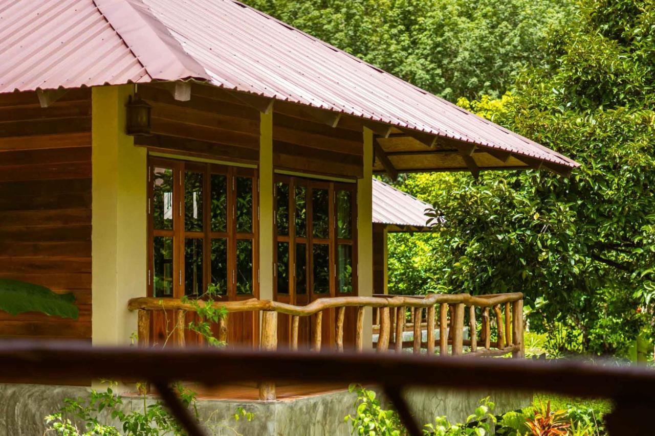 Monkey Mansion - Jungalows & Tours Khao Sok National Park Exterior foto