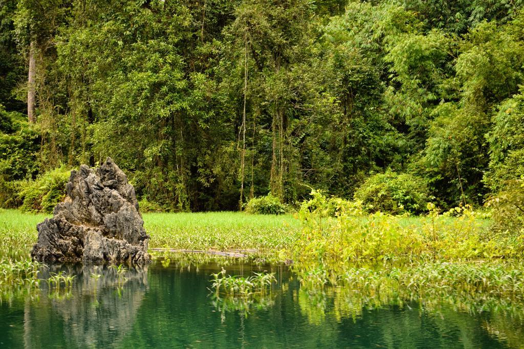 Monkey Mansion - Jungalows & Tours Khao Sok National Park Exterior foto